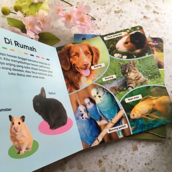 Seri Little Zoo: Hewan Jinak (Boardboo) BIP