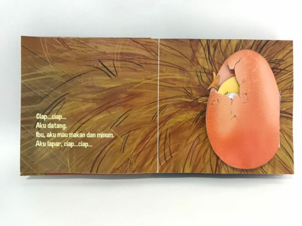 IMG_20250926_121246_295 Serial Aku Datang Pop Up Tema Cara Hewan Berkembang Biak (Impian Studio)