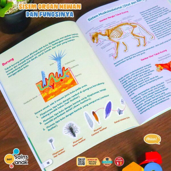 Sistem Organ Hewan dan Fungsinya (Seri Sains Anak) Ahlan