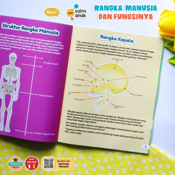 IMG_20251216_145209_554 Rangka Manusia dan Fungsinya (Seri Sains Anak) Ahlan